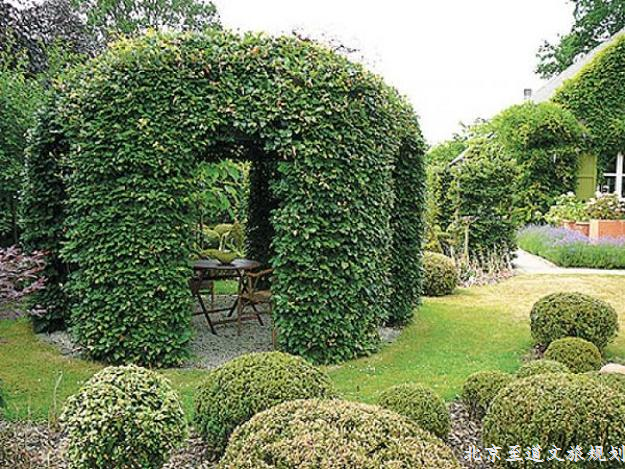 http://0.lushome.com/wp-content/uploads/2016/07/green-gazebo-garden-design-ideas-14.jpg